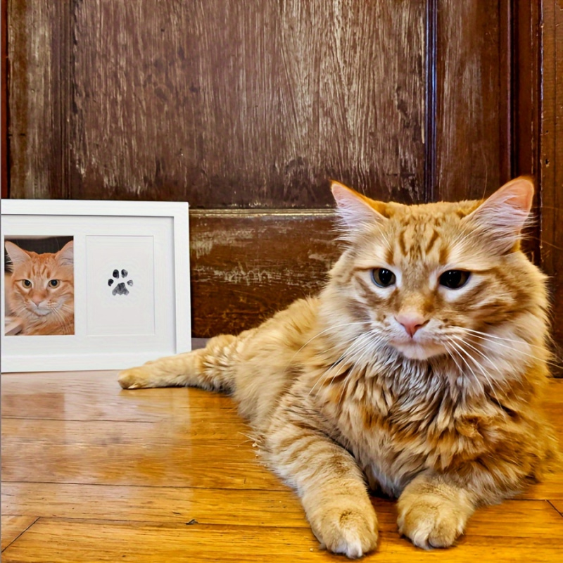 The Pet Paw Print Kit Comes Wi - огляд і ціна Footprint Ink Kit