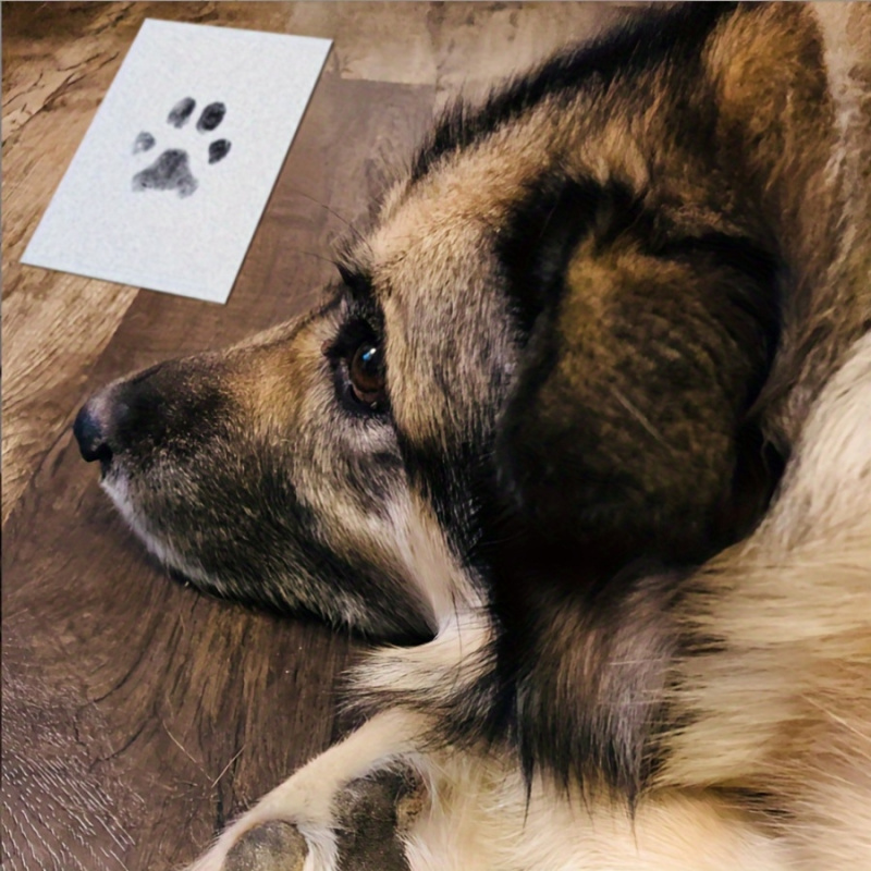 The Pet Paw Print Kit Comes Wi - огляд і ціна Footprint Ink Kit